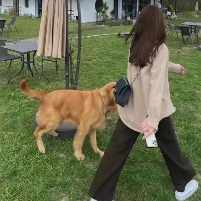 疯狂的卡波事件
